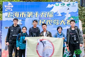 武汉男孩在上海观鸟大赛中拿了第一名，小学一年级就开始观鸟图片