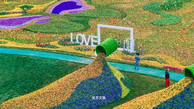 走进斗南七彩花海，看一场春天的盛大绽放