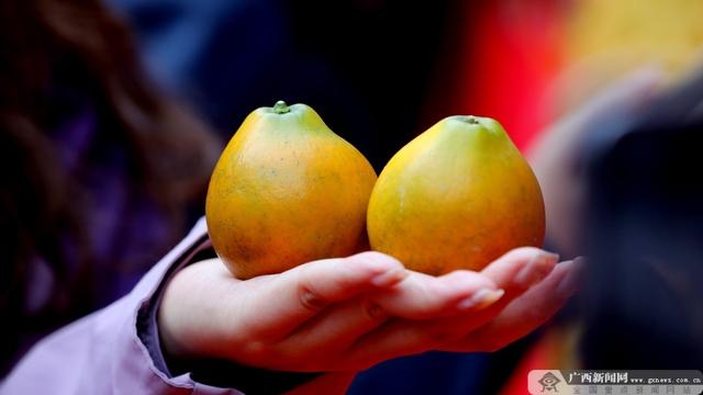 出发！广西这些水果迎来最佳赏味期