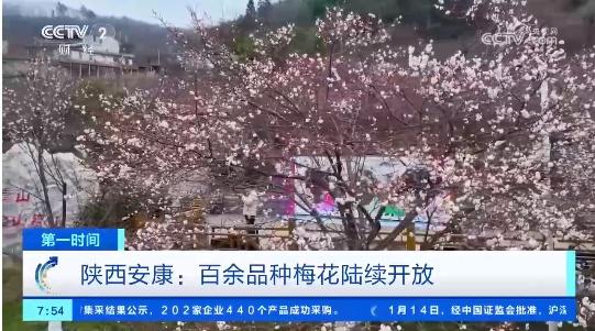 央视两天3次报道子午梅苑