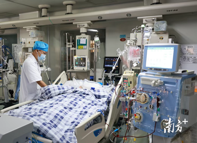 八旬老人重症中暑 医生提醒