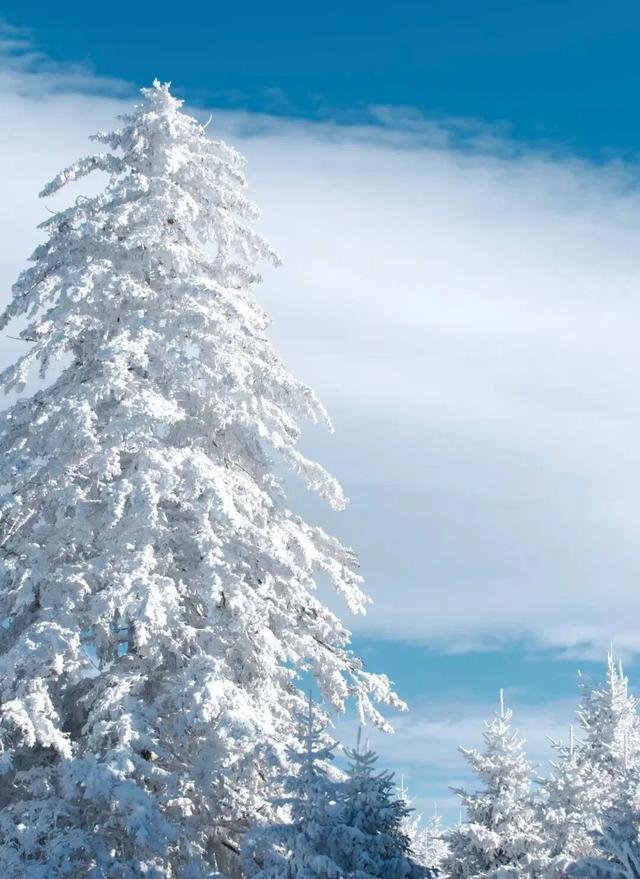 升咖版安图即将上线！N种冬日诗意美景等你打卡