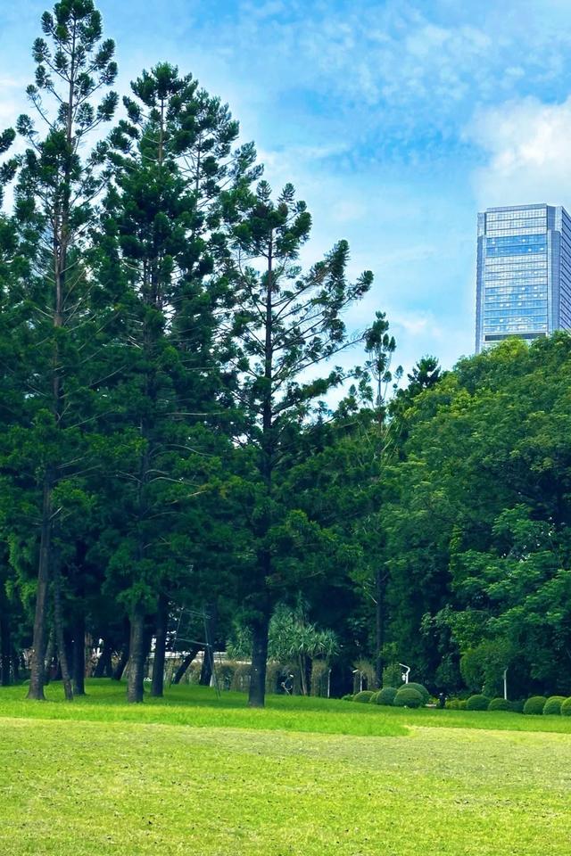 双园秘境在此！赴一场初秋的诗意漫游