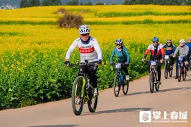 千骑竞逐金黄花海  2025罗平第十届花海山地自行车赛开赛图片