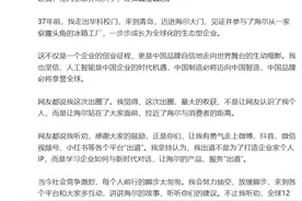 海尔总裁周云杰首条抖音发布，涨粉已超40万！与雷军互动，回应网友求高清修复《海尔兄弟》：安排图片