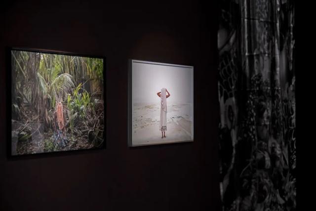 跨越那二十多分钟：集美·阿尔勒的十一年