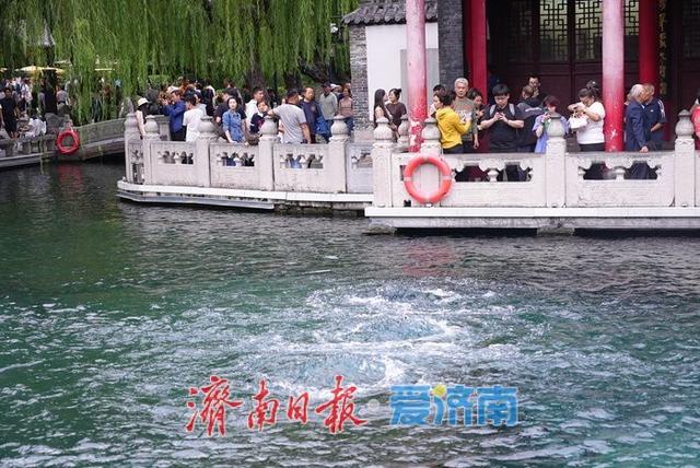 秋雨润泉！济南“泉水游”持续在线