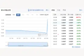 成立3个多月跌了近10%！而昨日净值又大涨近50%，这只纯债基金发生了什么？图片