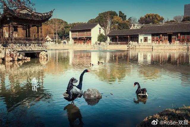 这个元旦假期，把时光“浪费”在秦淮最美的园子里~