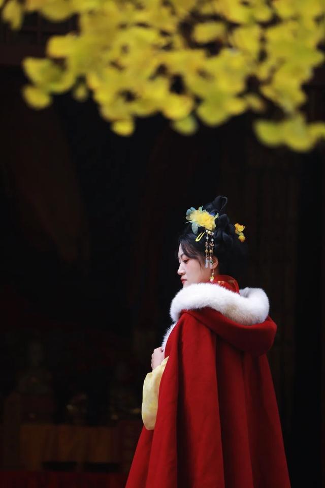 这是今天的千年银杏树，被太阳晒透！巨美！