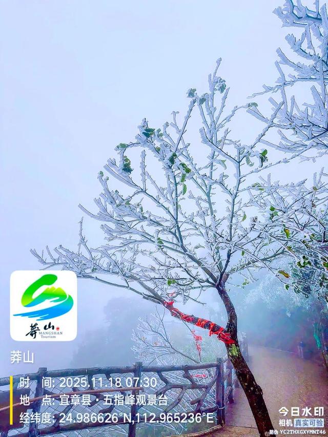 美到词穷！郴州首场雾凇惊艳上线