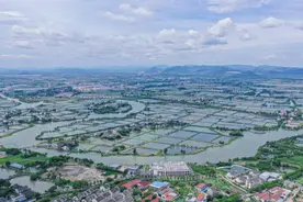 提升桑基鱼塘系统管理水平 湖州为“世间少有美景”立法图片