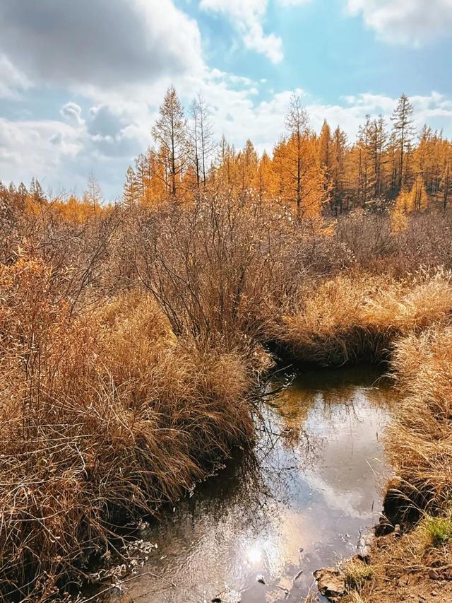 假期闲记（三）
