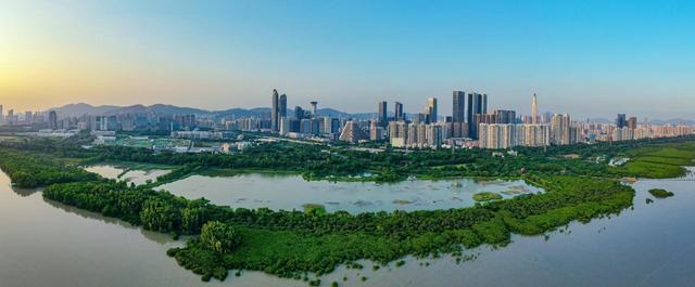 看十五运会，打卡“绿美广东”——南方+拍客广东绿美点主题影像征集活动启动！