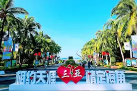 爬椰子树，我们是认真的！图片