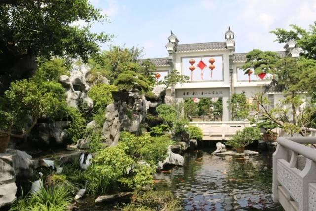 国庆就要玩好一点，“情”定陈村花花世界迷人眼