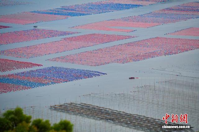国庆中秋游：福建霞浦海滨风光引客来