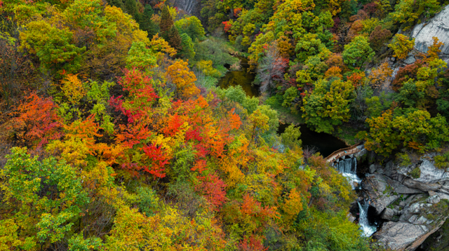 绝绝子！除了绝绝子，我还能怎么夸洛阳