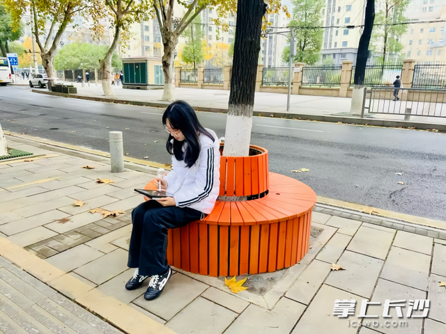 长沙“最美梧桐路”添便民观景座 坐看横塘残月梧桐洒金