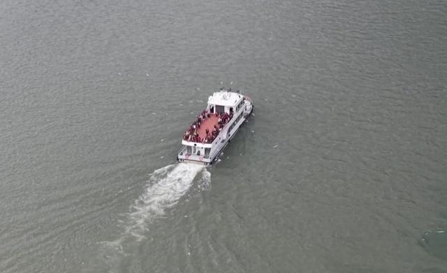 它们又双叒叕来乐山啦！场景太治愈~