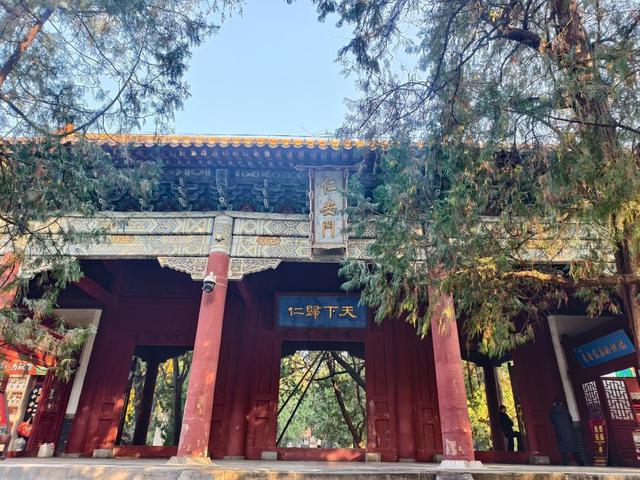 图集丨金秋岱庙美出圈 千年古银杏 “披金” 引客打卡