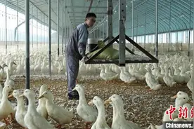 （乡村行·看振兴）内蒙古乡镇经济新变化：小产业累积大民生图片