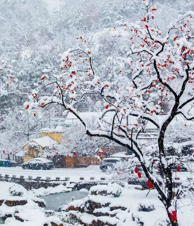 冬游威海 情满山海｜雪已至，威海三条绝美赏雪路线等你来！