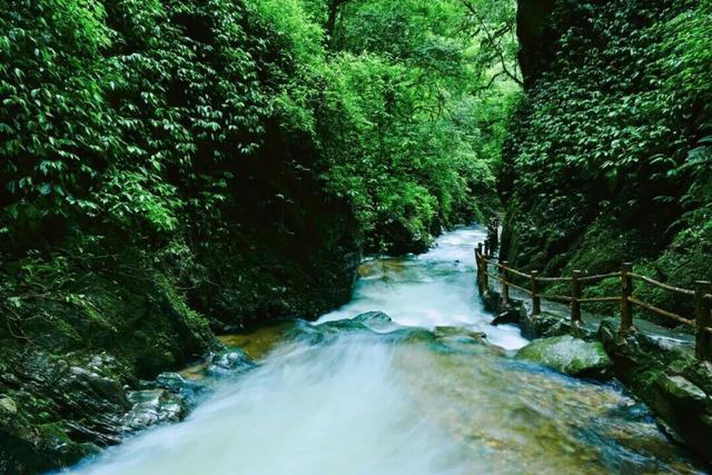 哀牢秘境里的花腰傣乡，藏着云南的热烈与温柔丨云新闻·滇地宝藏⑭