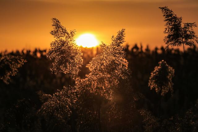 张掖：冬日朝霞绚烂如画