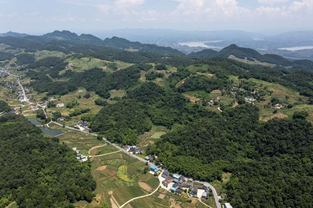 诗意中国｜荔枝驿路蜀道不再难