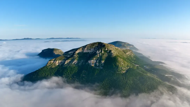 荣耀时刻！东平湖文旅集团荣膺“2025年中国文旅运营标杆企业”