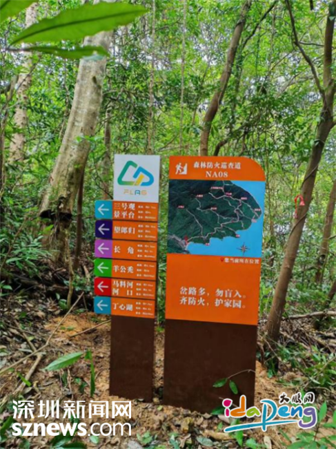 落实国家禁令！深圳大鹏织密徒步穿越安全防护网