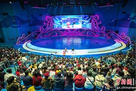 桂林雁山区春节假期接待游客30.51万人次 龙年旅游市场“开门红”图片