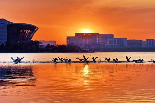 在郑州，做这8件事可以提升幸福感→