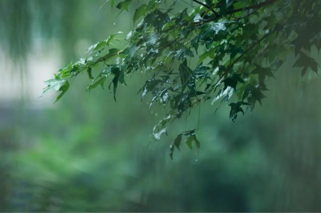 7-8级雷雨大风将抵无锡！高温持续！