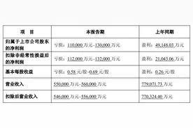 新游戏、影视项目不及预期，完美世界2024年业绩由盈转亏图片
