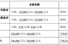 新游戏、影视项目不及预期，完美世界2024年业绩由盈转亏图片