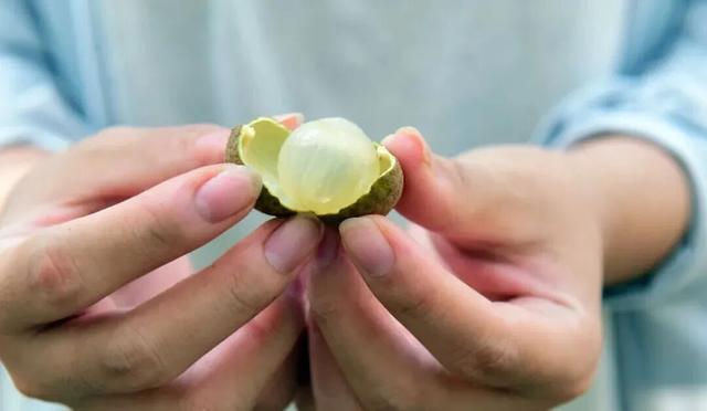 央视大片《珠江》里的花都⑤：山水滋养的田园至味