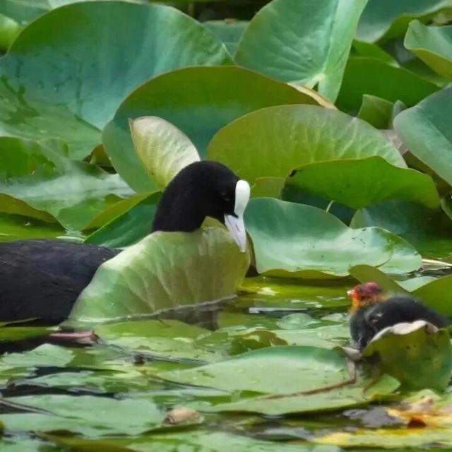 北京冬日限定“奇观”！就到月底！快冲→