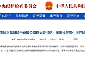 上海保险交易所原董事长任春生被“双开”图片