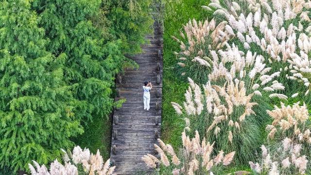 蒹霞苍苍 白露为霜 在这里具象化了｜有一种叫云南的生活之365天