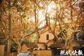 江苏最高温即将跌至个位数，12月19日西北部最高仅2℃图片