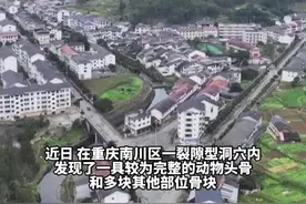 秀我中国丨重庆一洞穴发现熊猫头骨 专家：对进一步了解熊猫演化有重要意义图片