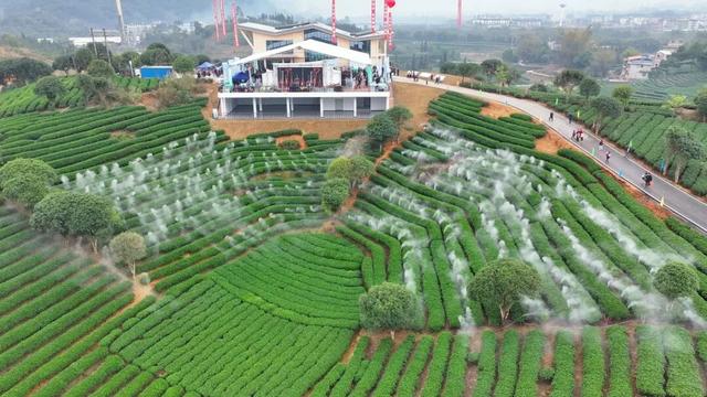 《远方的远方》搭乘“中国之翼”飞向世界