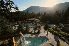 作家在线｜何美鸿：酸酸甜甜苹果醋图片