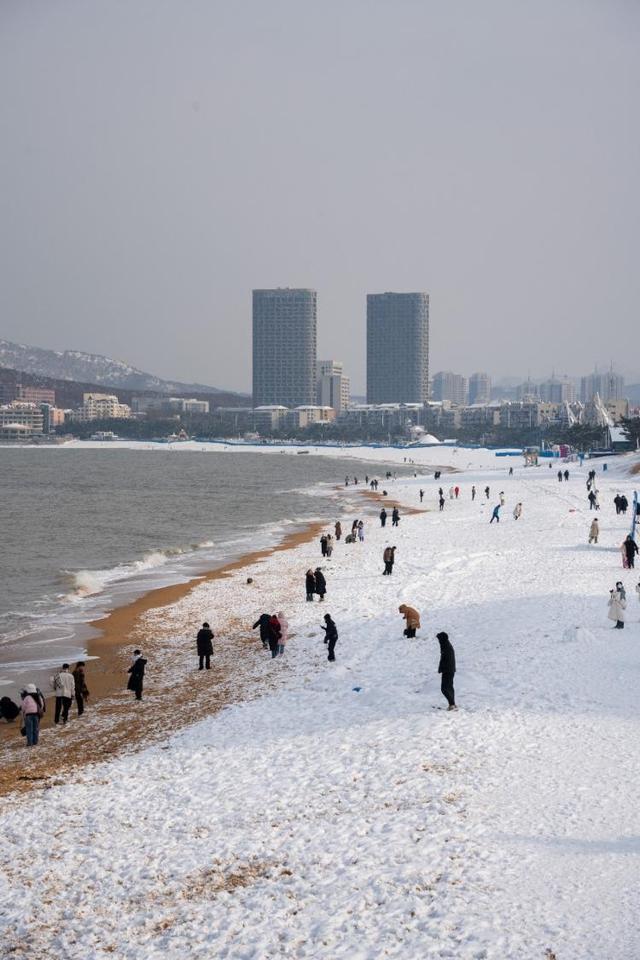 去什么北海道，冬日里的威海不是“平替”，是天花板！