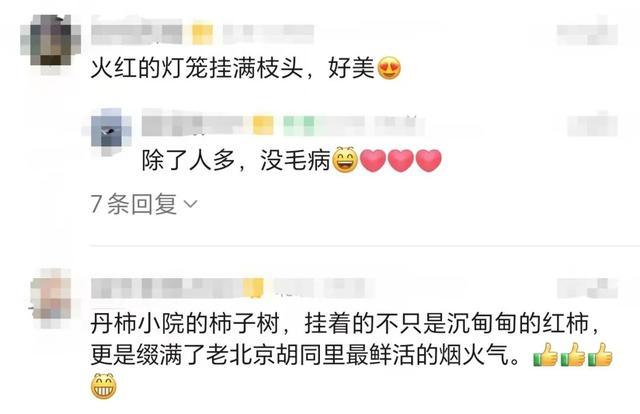 老舍故居的柿子，凭什么成了今年秋日顶流？