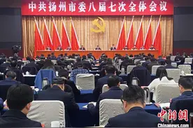 江苏扬州“四字”发力“拼经济” 提升城市硬实力竞争力图片