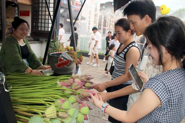 江苏苏州：山塘街荷花俏销 感受初秋浪漫