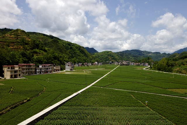 一口井·一座山·一道食，简读龙山新方式！